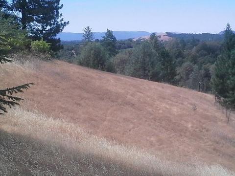 11290 Upper Previtali Rd, Jackson, CA 95642 photo 9