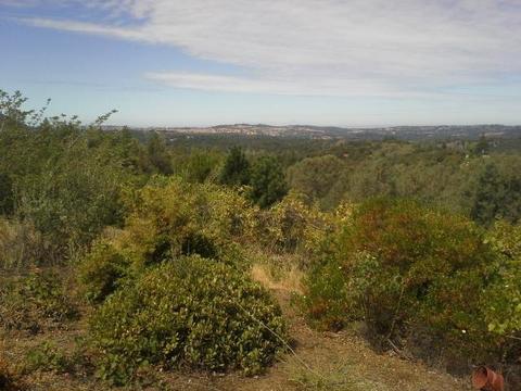 11290 Upper Previtali Rd, Jackson, CA 95642 photo 5