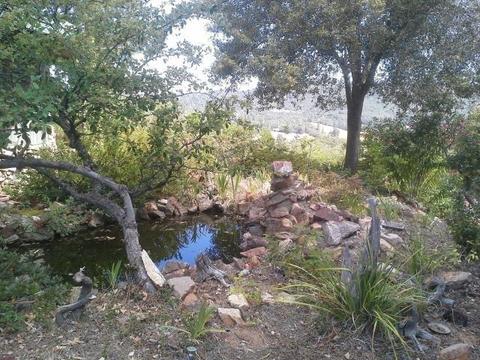 11290 Upper Previtali Rd, Jackson, CA 95642 photo 2