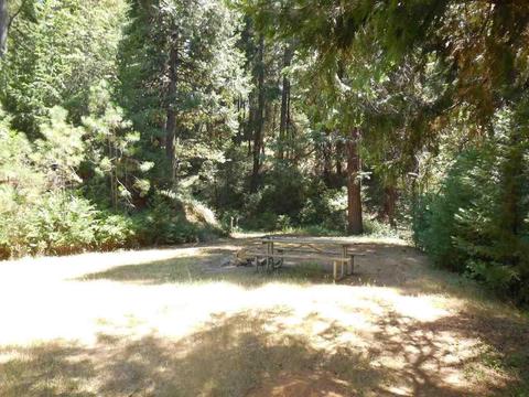 716 Winton, West Point, CA 95255 photo 7