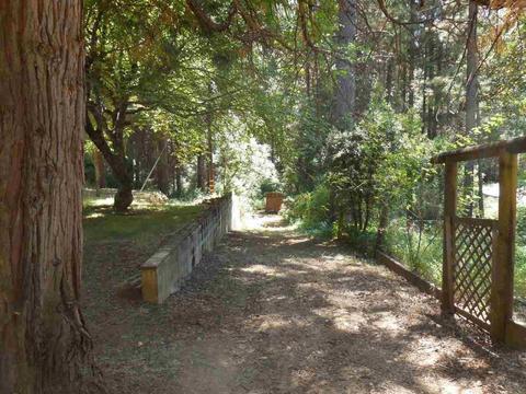 716 Winton, West Point, CA 95255 photo 8