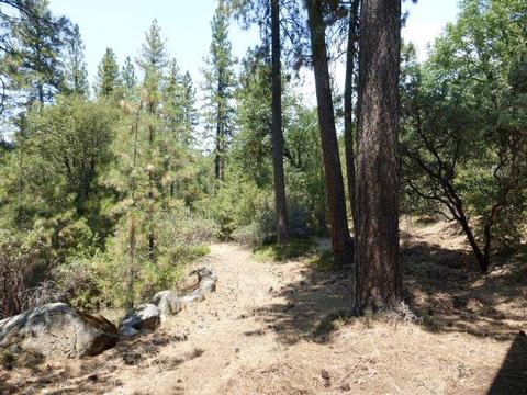 2311 Bald Mountain Rd, West Point, CA 95255 photo 25