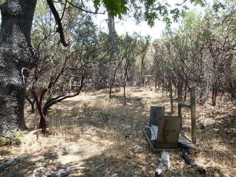 2311 Bald Mountain Rd, West Point, CA 95255 photo 20