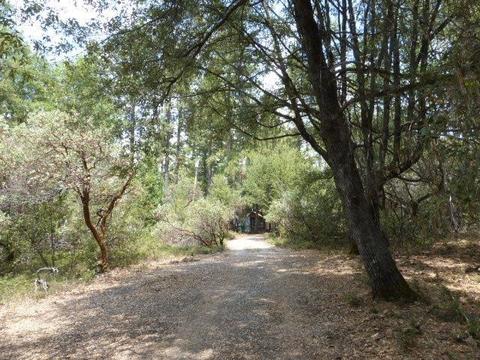 2311 Bald Mountain Rd, West Point, CA 95255 photo 18