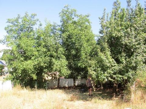 213 Bouvard St, West Point, CA 95255 photo 10
