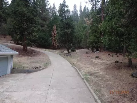 20070 Pine W Dr, Volcano, CA 95689 photo 16