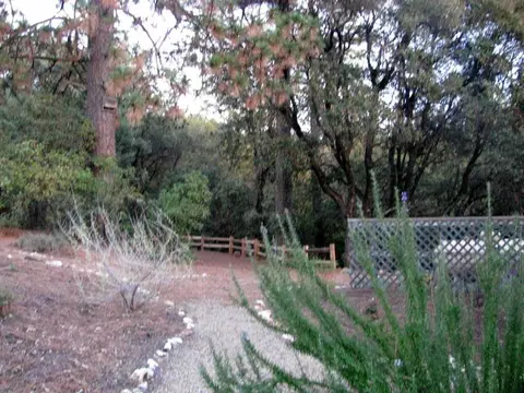 12855 Mierkey Rd, Pine Grove, CA 95665 photo 31
