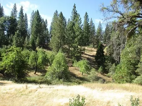 8822 Bailey Ridge Rd, West Point, CA 95255 photo 9