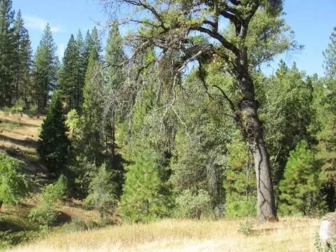 8822 Bailey Ridge Rd, West Point, CA 95255 photo 11
