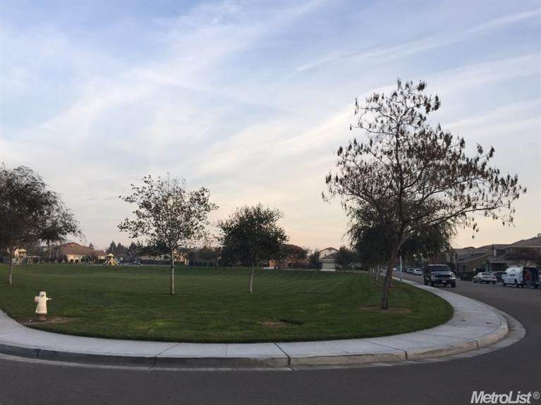 1003 Lucio St, Manteca, CA 95336 photo 10