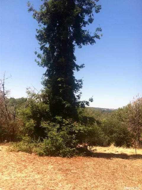 15784 Butte Mountain Rd, Jackson, CA 95642 photo 1