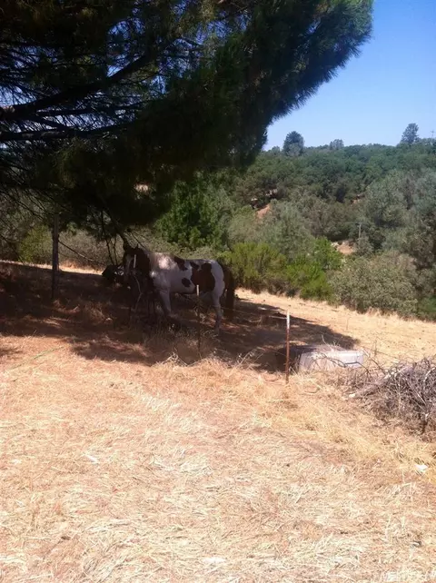 15784 Butte Mountain Rd, Jackson, CA 95642 photo 3