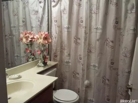 712 Cedar Flat Dr, Galt, CA 95632 photo 8