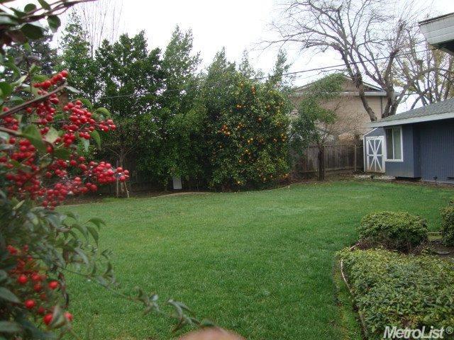 4800 Cameron Ranch Dr, Carmichael, CA 95608 photo 20