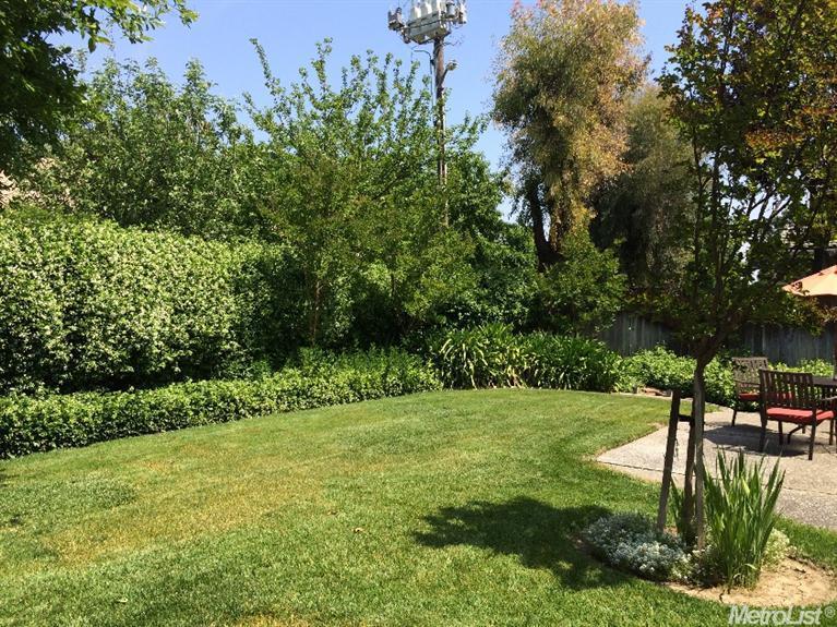 3309 Laguna Ave, Davis, CA 95618 photo 11
