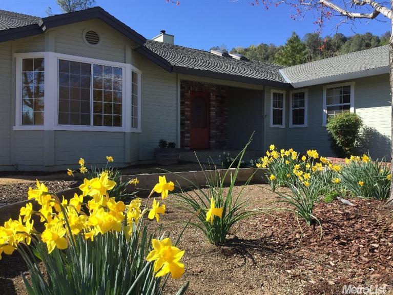 3356 Mortar Ct, Placerville, CA 95667 photo 1