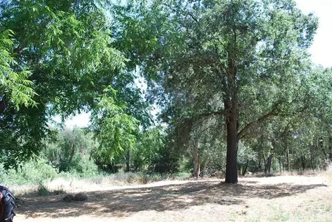 6662 Dell Pl, Loomis, CA 95650 photo 9