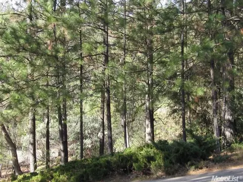 17200 Applegate Rd, Applegate, CA 95703 photo 5