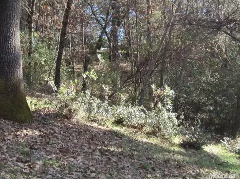 17200 Applegate Rd, Applegate, CA 95703 photo 21
