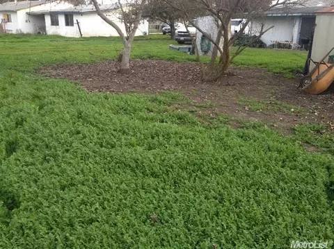 5715 E Morse Rd, Lodi, CA 95240 photo 17