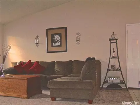 15655 Warfield Rd, Lathrop, CA 95330 photo 5