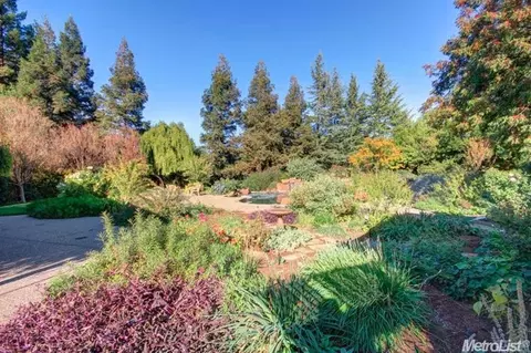 39654 Primrose Pl, Davis, CA 95616 photo 22