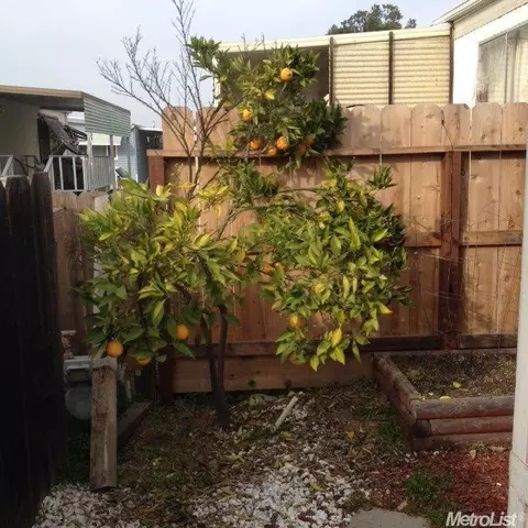 1830 E Yosemite #148, Manteca, CA 95336 photo 4