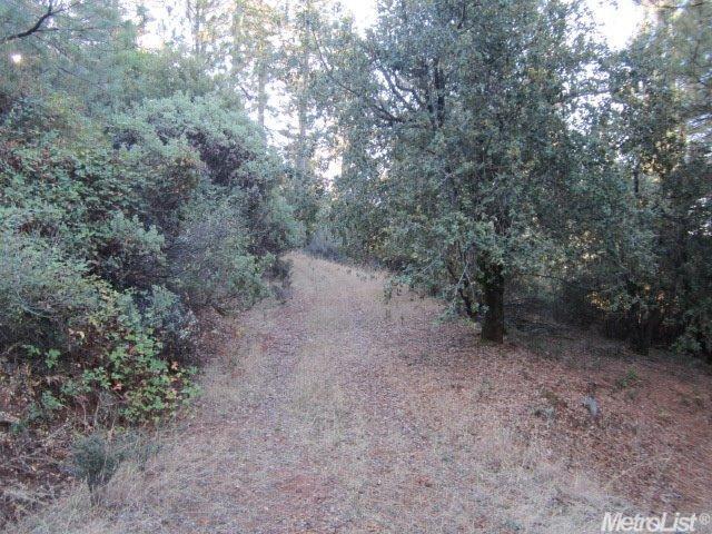 7265 Maidu Dr, Placerville, CA 95667 photo 1