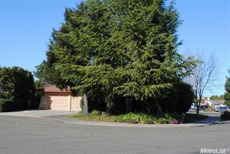 3453 Norton Ave, Modesto, CA 95350 photo 4