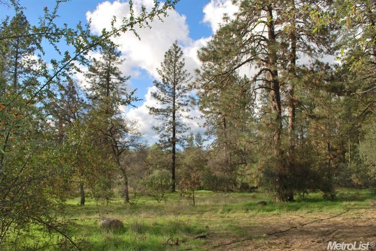 1620 Shiloh Ct, Placerville, CA 95667 photo 20