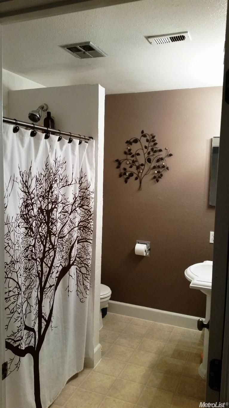 801 Jade Pl, Manteca, CA 95336 photo 9