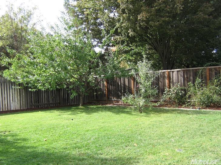 1927 Alicante St, Davis, CA 95618 photo 19