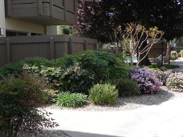 3701 Colonial Dr #33, Modesto, CA 95356 photo 2