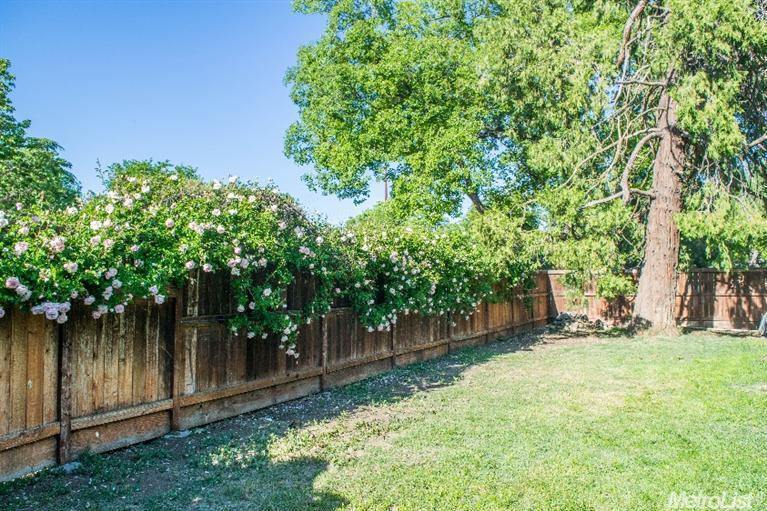 730 K St, Davis, CA 95616 photo 17