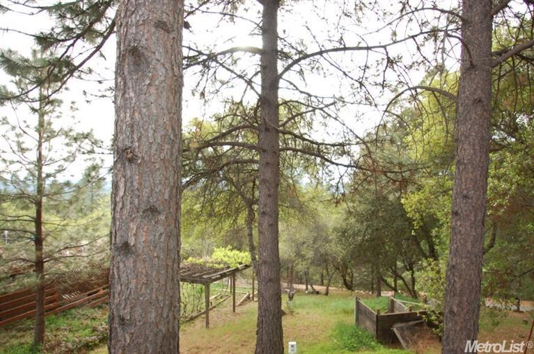 13998 Marc Dr, Pine Grove, CA 95665 photo 7
