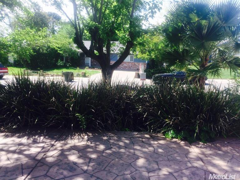 6137 Marwick Way, Carmichael, CA 95608 photo 13