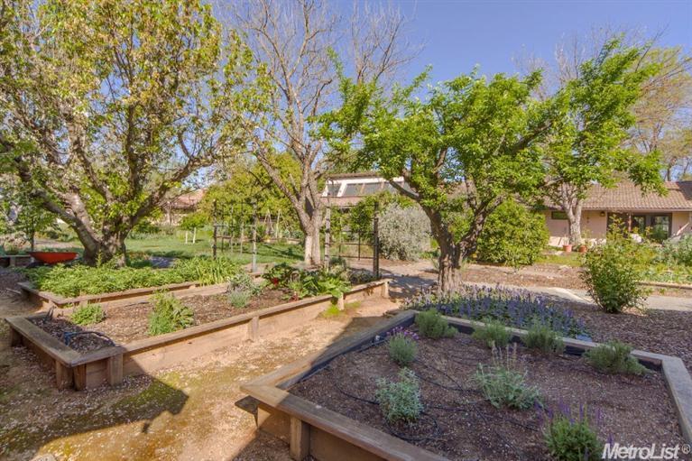 2321 Evenstar Ln, Davis, CA 95616 photo 23