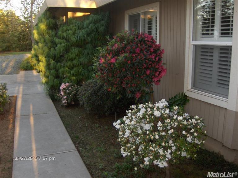 11766 Walmort Rd, Wilton, CA 95693 photo 8