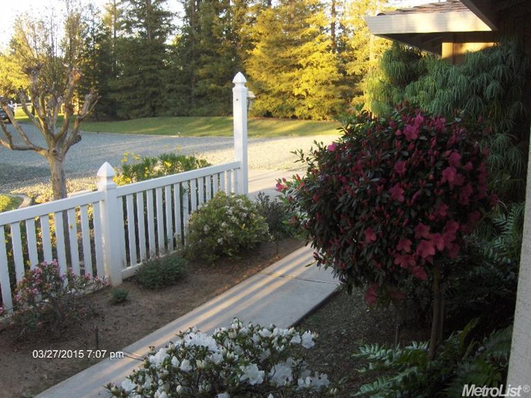 11766 Walmort Rd, Wilton, CA 95693 photo 9