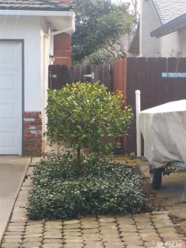 2138 Tracy, Lodi, CA 95242 photo 3
