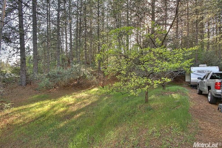10 Pinecrest Dr, Applegate, CA 95703 photo 16