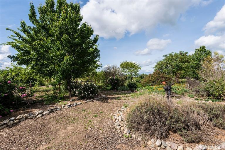 25200 County Road 95, Davis, CA 95616 photo 22