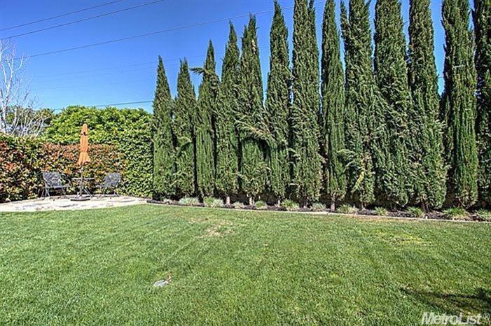 1833 Arena Dr, Davis, CA 95618 photo 23