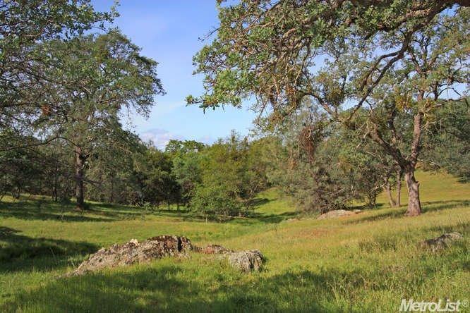 19600 Lambert Rd, Ione, CA 95640 photo 23