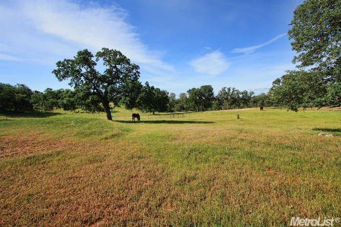 19600 Lambert Rd, Ione, CA 95640 photo 22