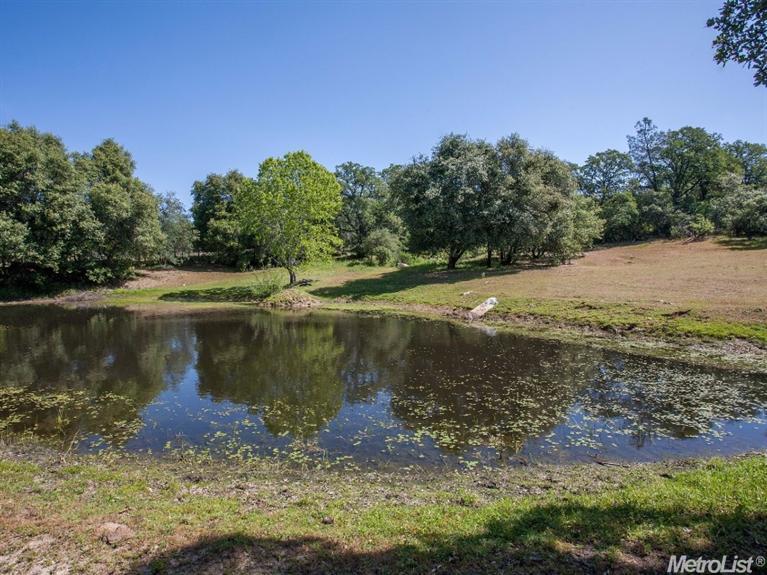 1000 Cold Springs Rd, Placerville, CA 95667 photo 18