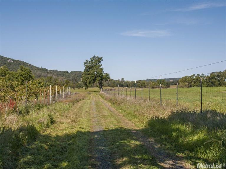 1000 Cold Springs Rd, Placerville, CA 95667 photo 19