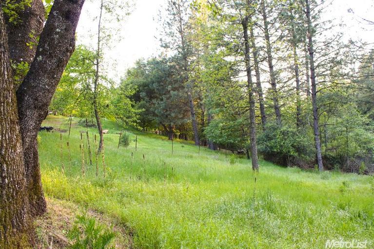 2271 Olympia Ln, Placerville, CA 95667 photo 18