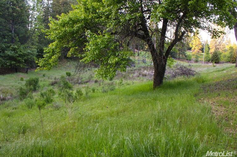 2271 Olympia Ln, Placerville, CA 95667 photo 21