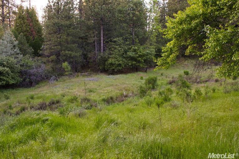 2271 Olympia Ln, Placerville, CA 95667 photo 20